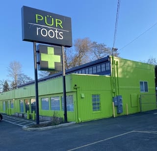 Pur Roots