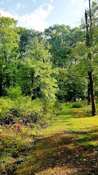 Elbow Tree Park