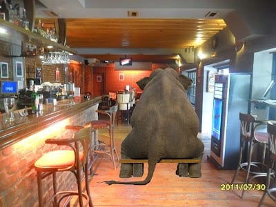 Elephant