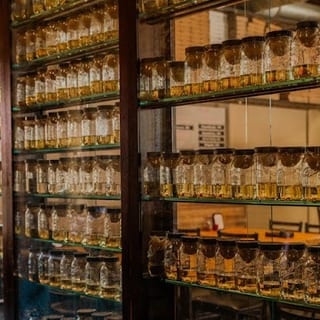 Angelos Taverna