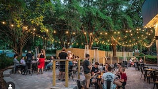 Ology Brewing Co