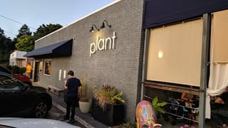 Plant