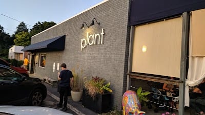 Plant