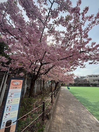 本町さくら公園