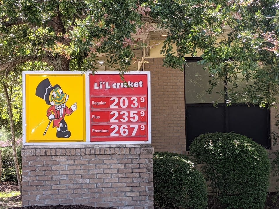 Lil Cricket #3873