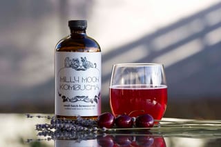 Milly Moon Kombucha