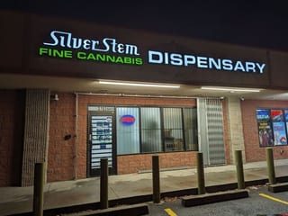 Silver Stem Quincy