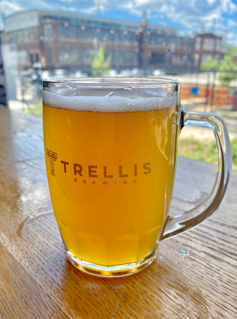 Trellis Brewing