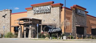 Longhorn Amarillio