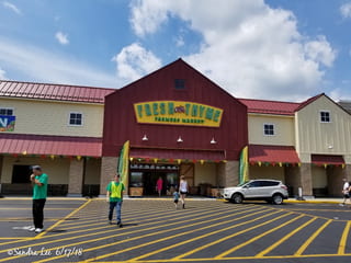 Fresh Thyme