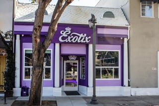 Exotix Los Angeles