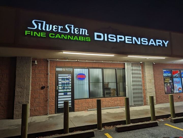 Silver Stem Quincy