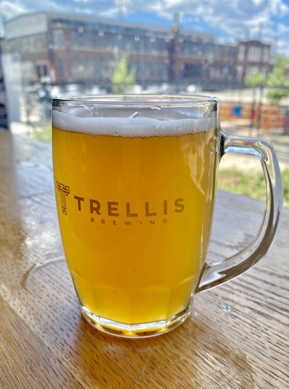 TRELLIS BREWING