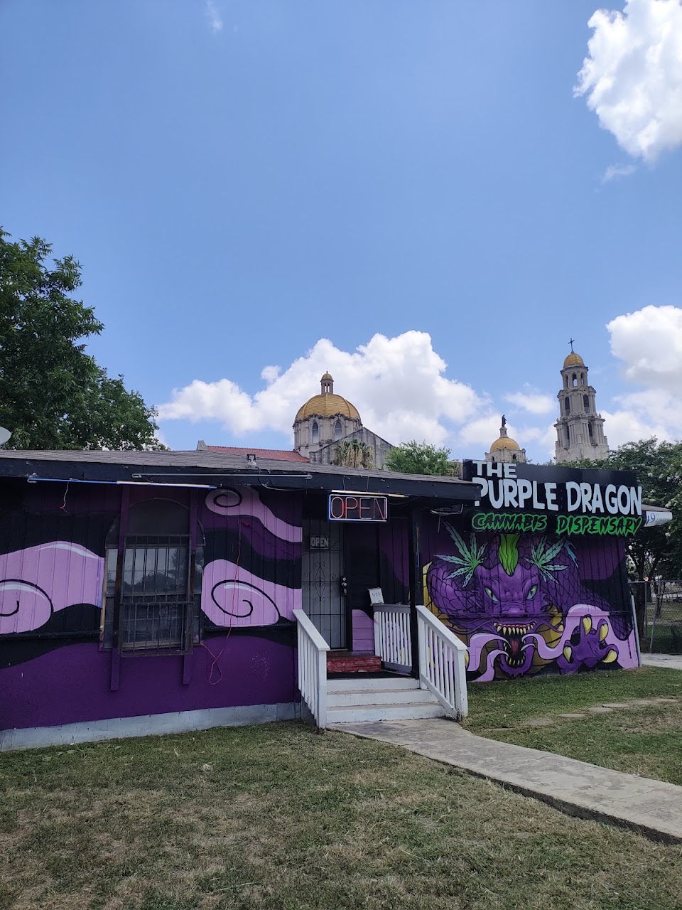 Purple Dragon
