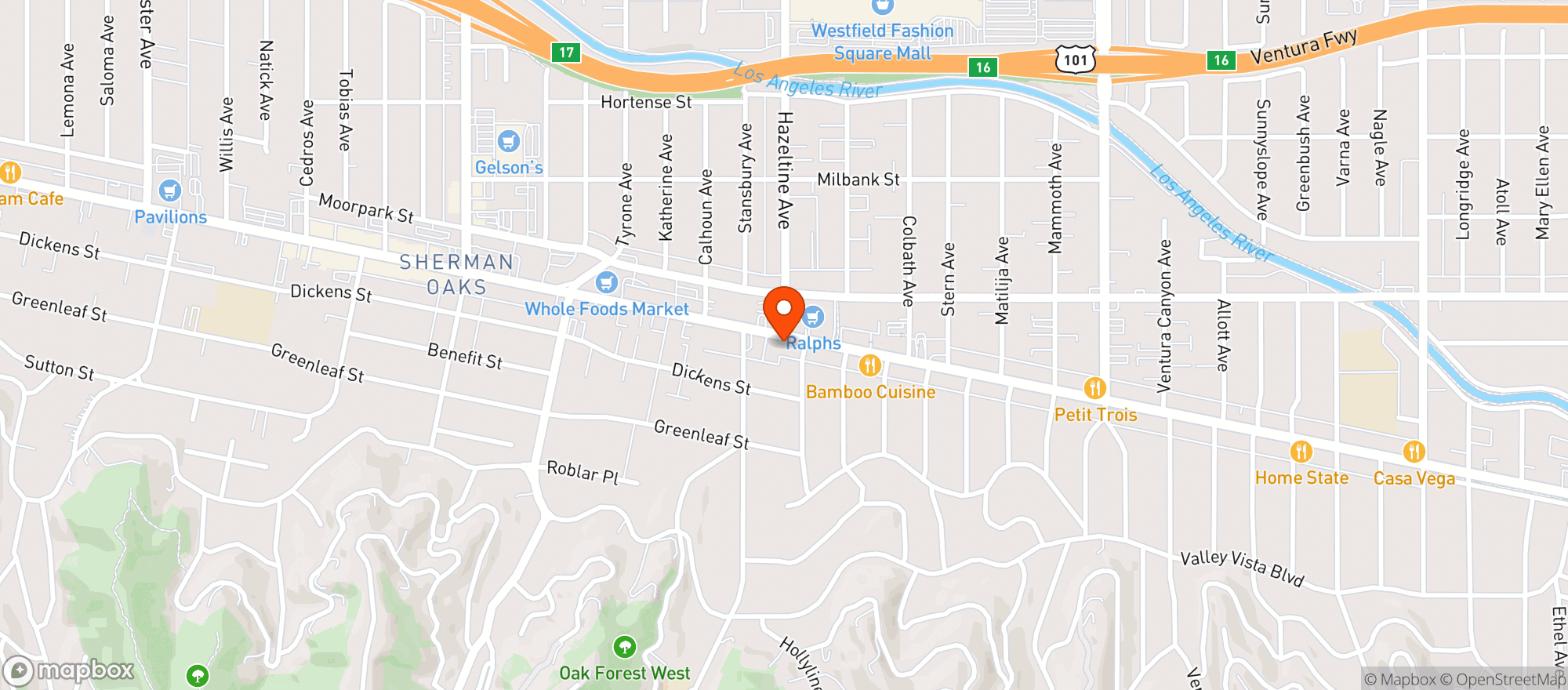 Map showing The Other Path CBD Store