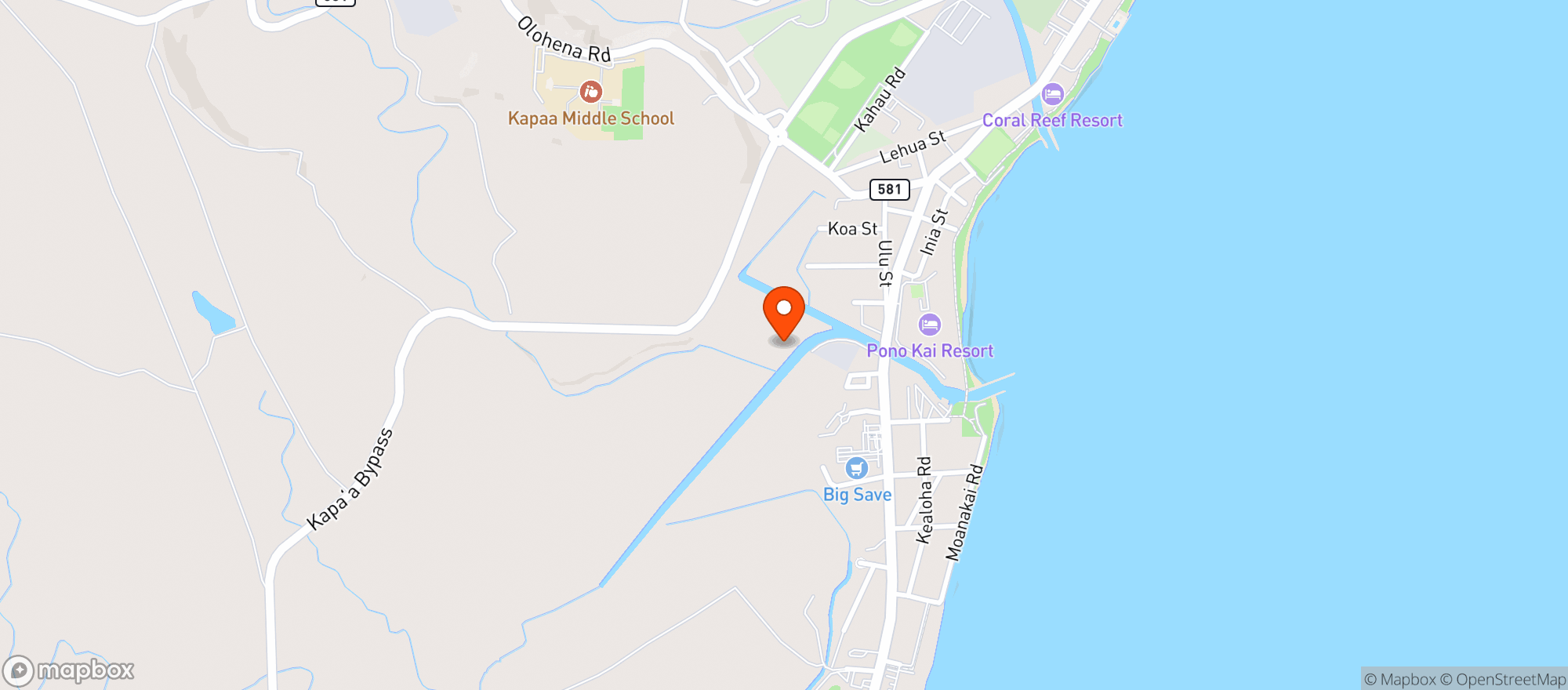 Map showing Big Save Market