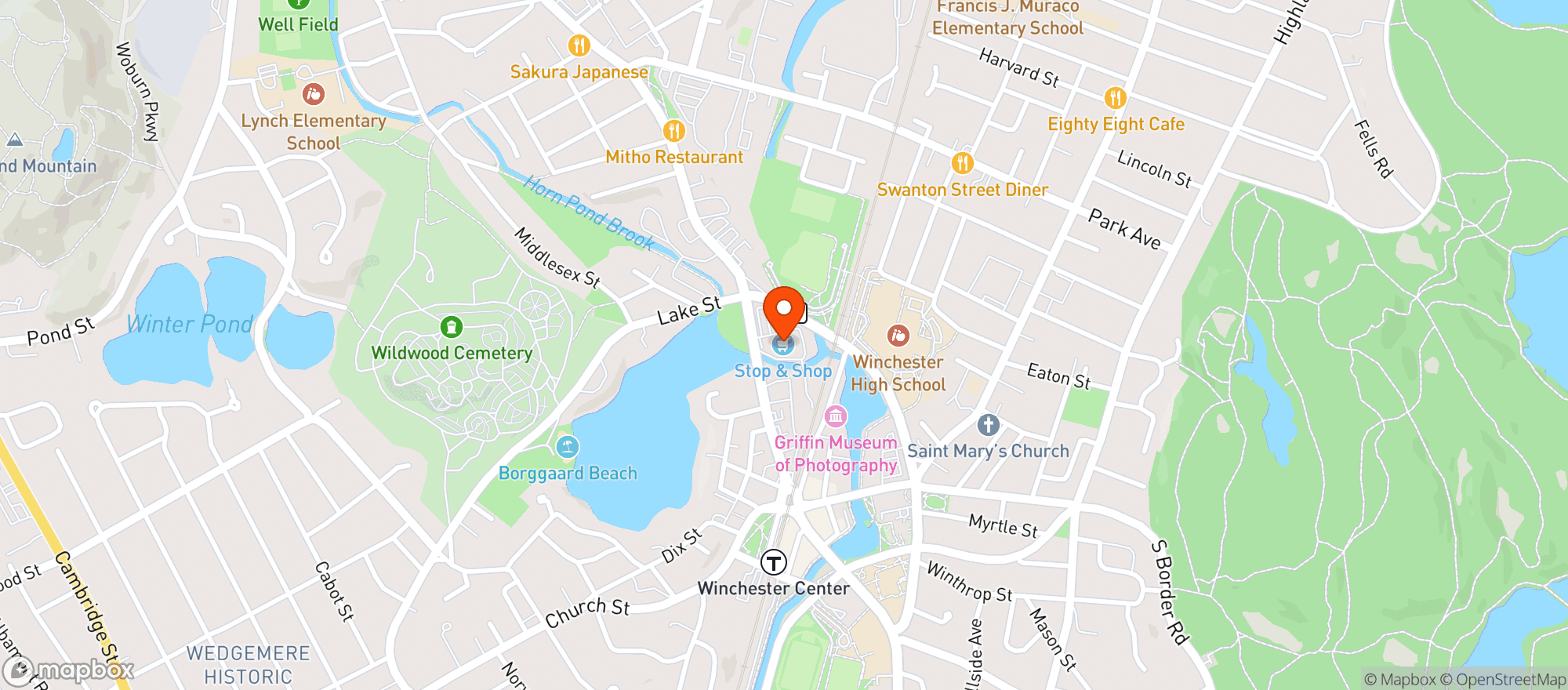 Map showing STOP & SHOP (695 MAIN STREET)