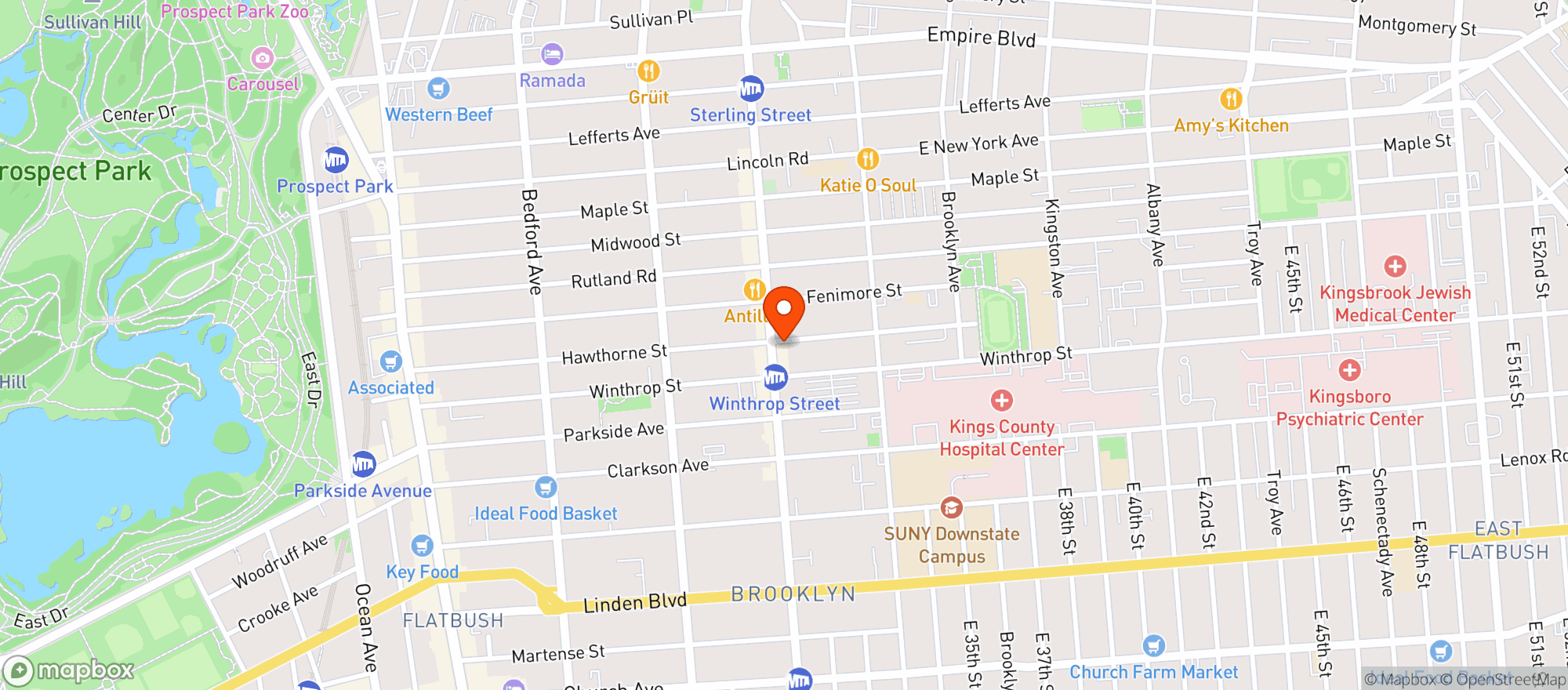 Map showing CBD Bkny