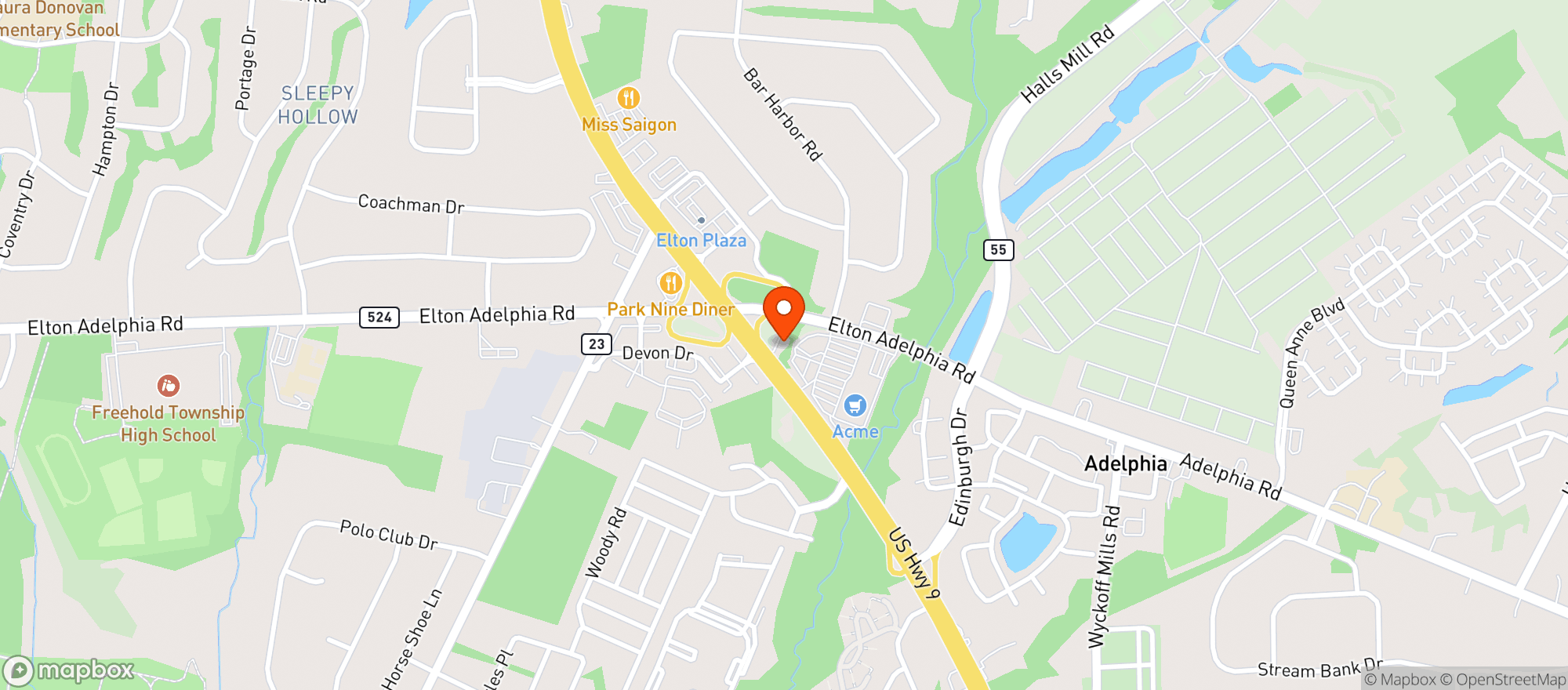 Map showing Freehold W & L (old Max S
