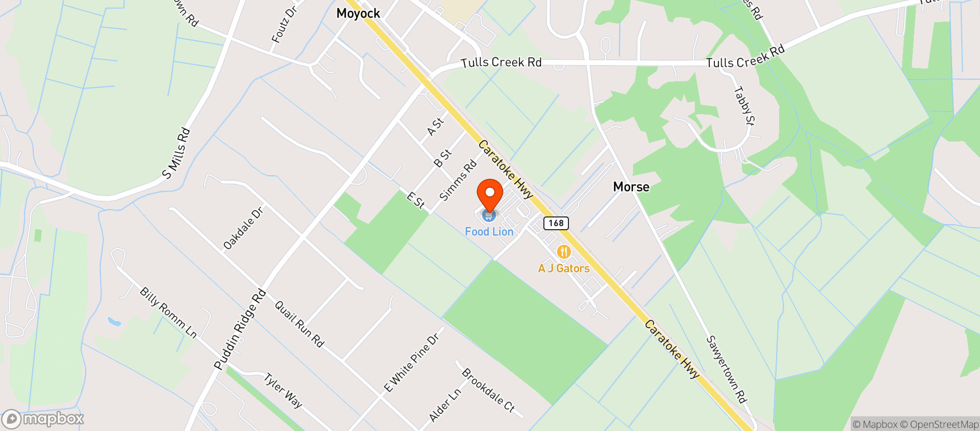 Map showing Food Lion #1042