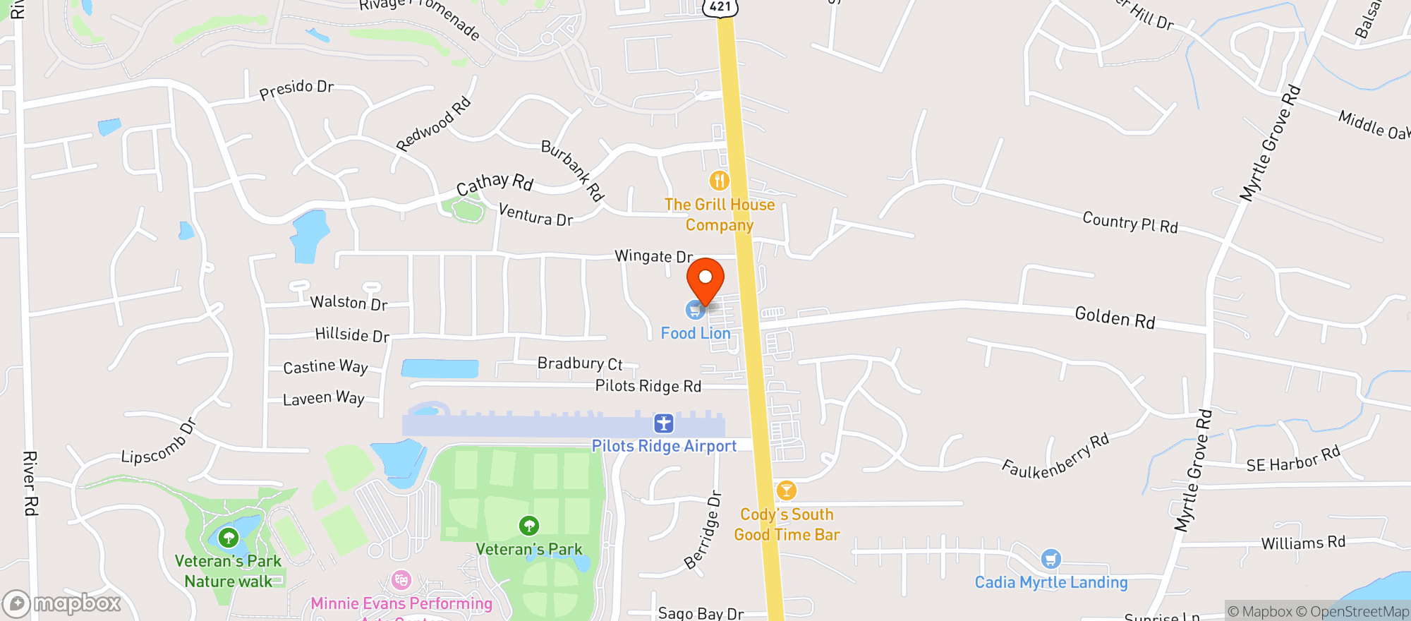 Map showing Food Lion #909