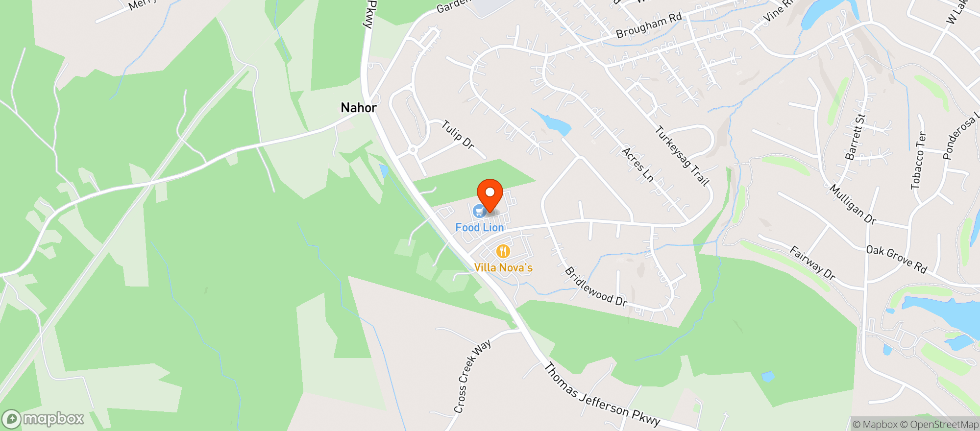 Map showing Food Lion
