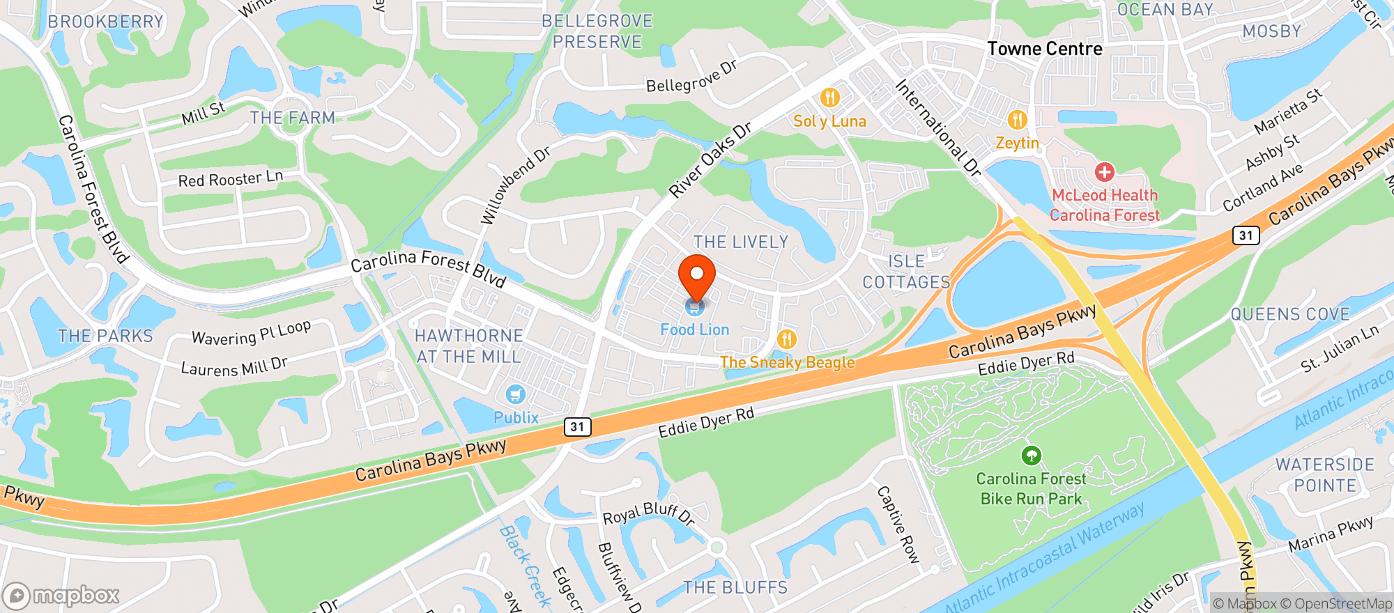 Map showing Food Lion