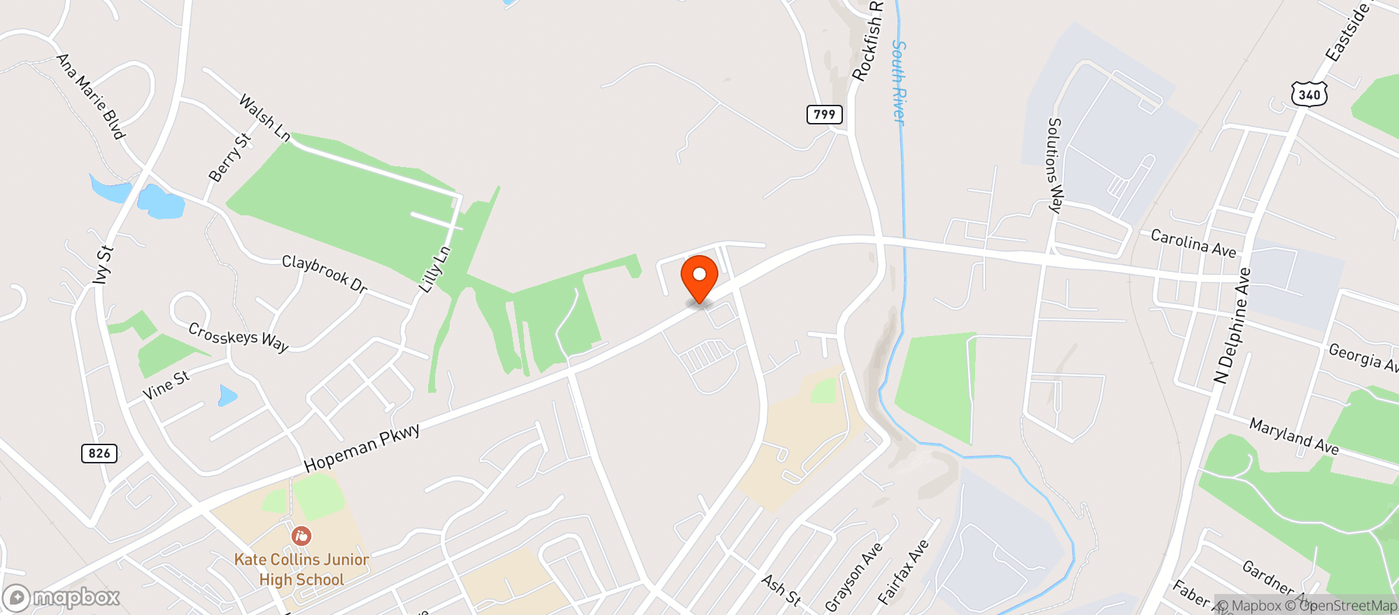 Map showing Food Lion