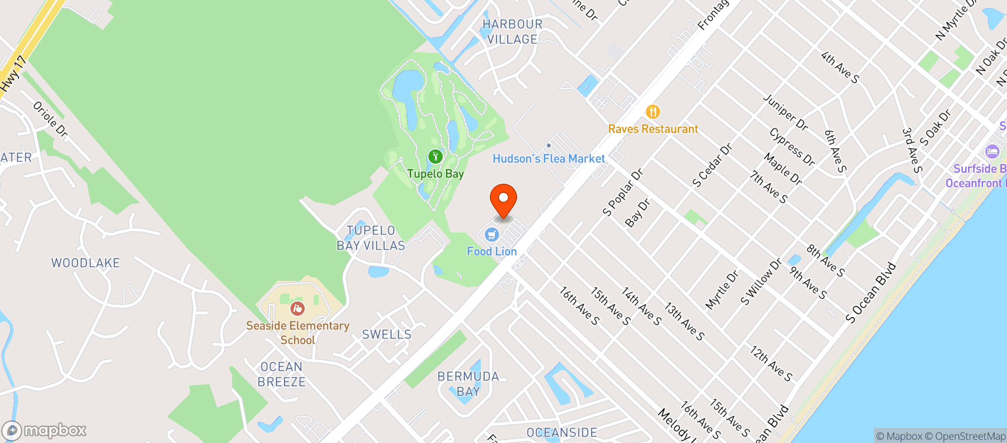 Map showing Food Lion #2239