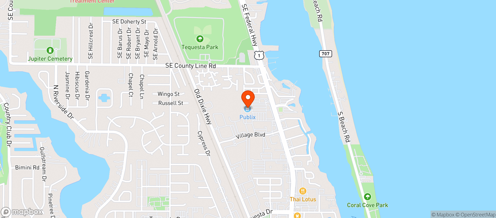 Map showing Publix