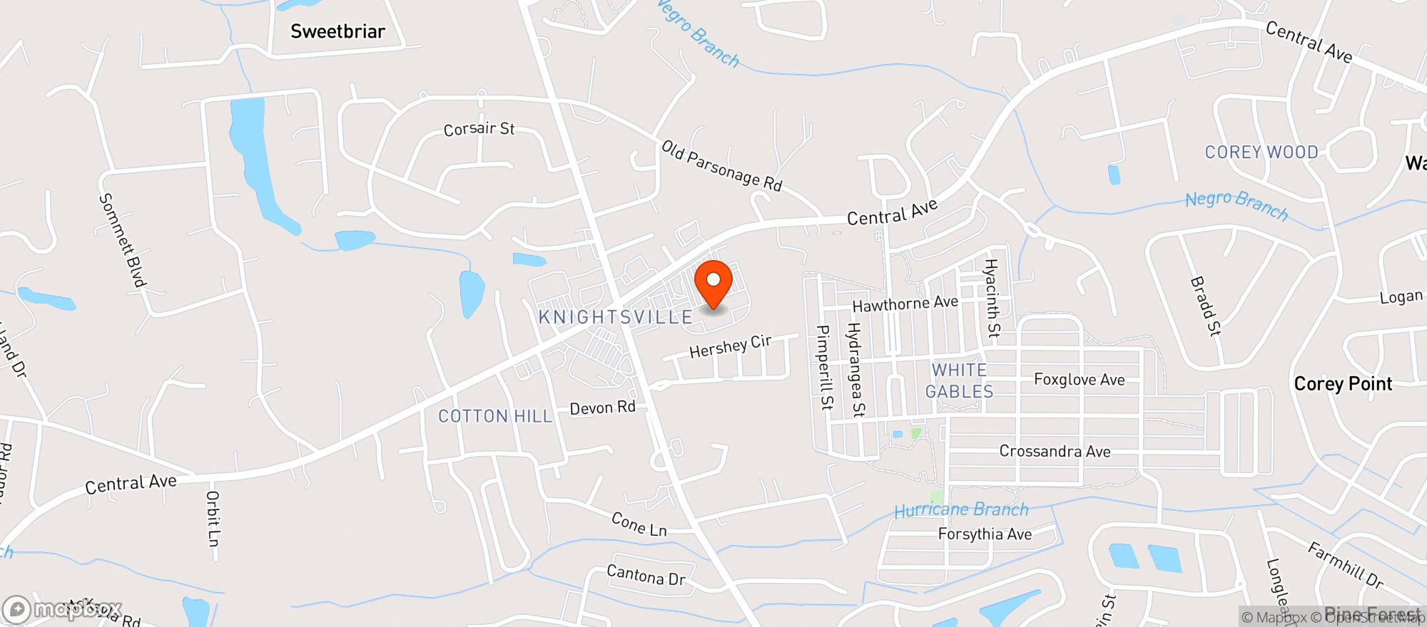 Map showing Publix