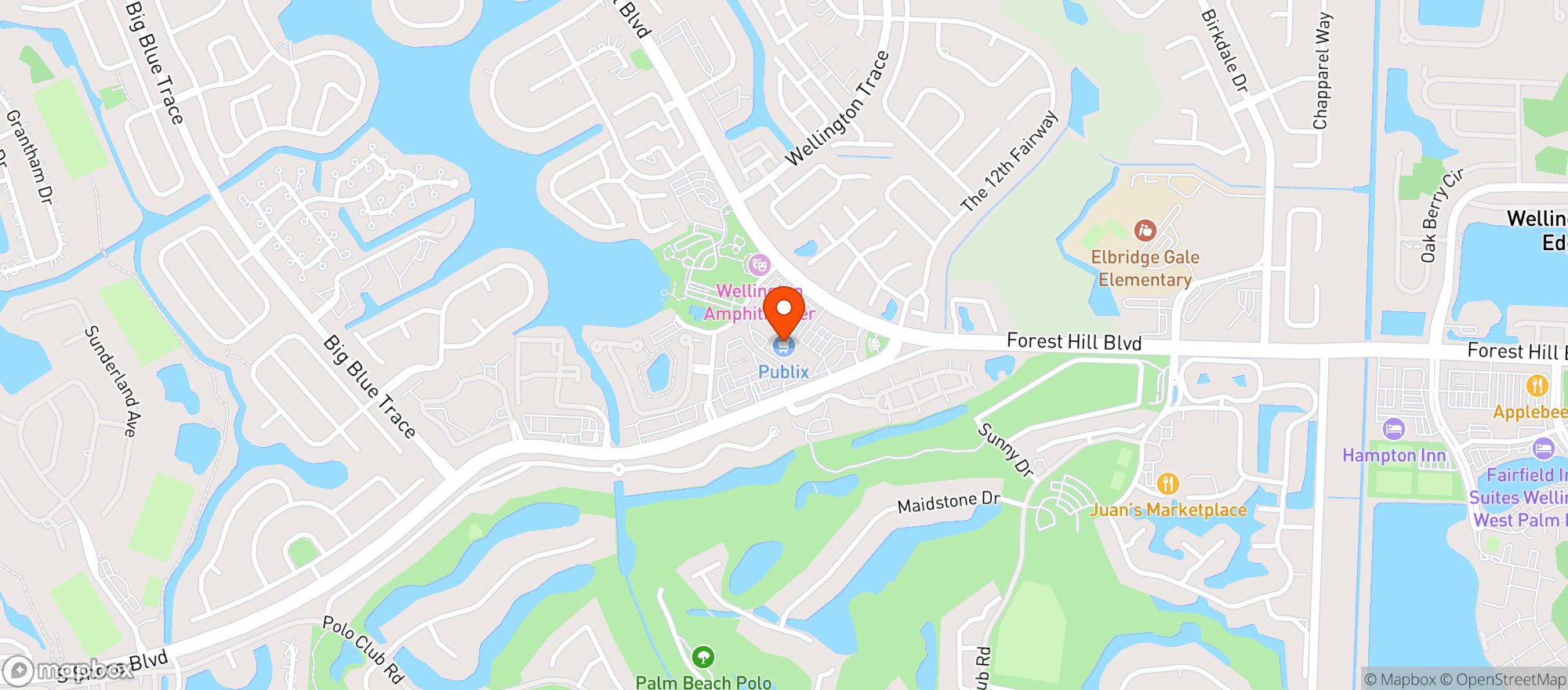 Map showing Publix