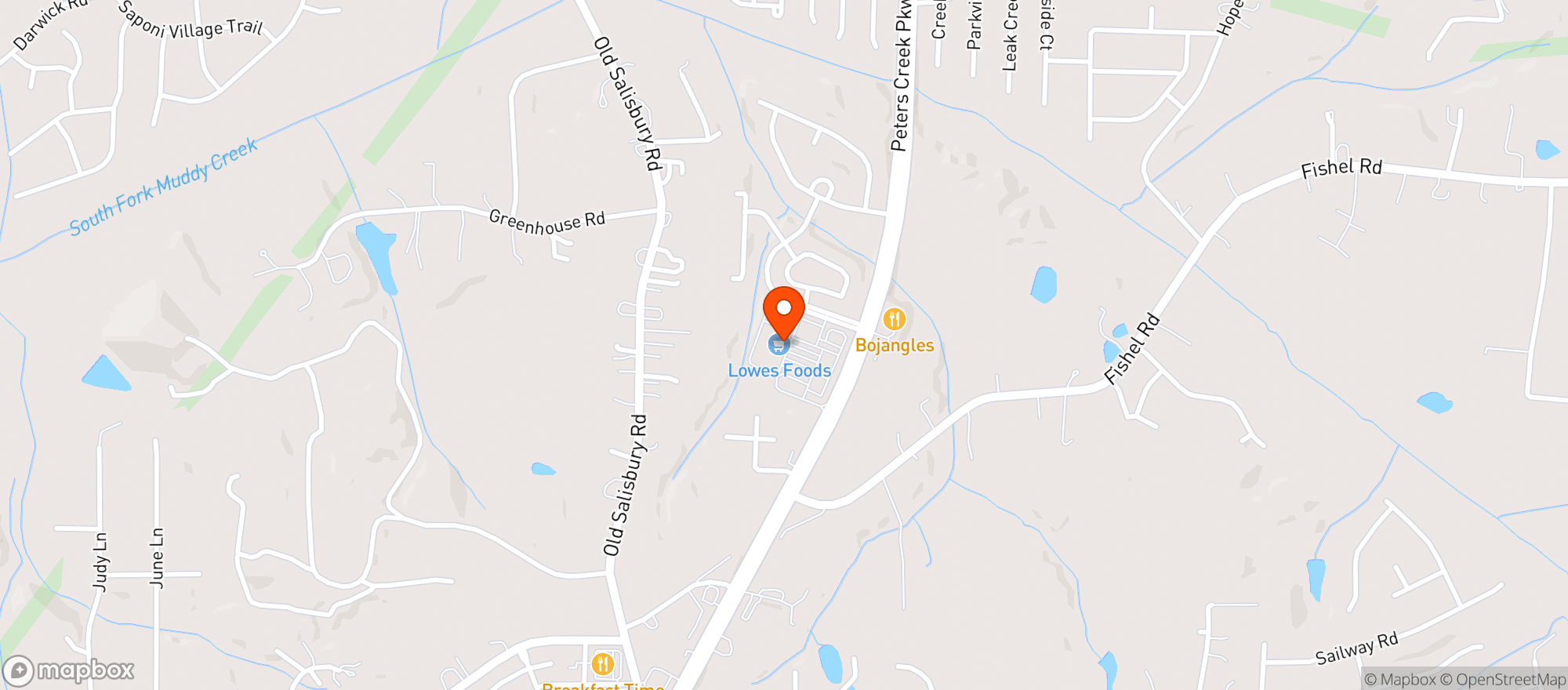 Map showing Lowes Foods 206 (pc Pkwy)