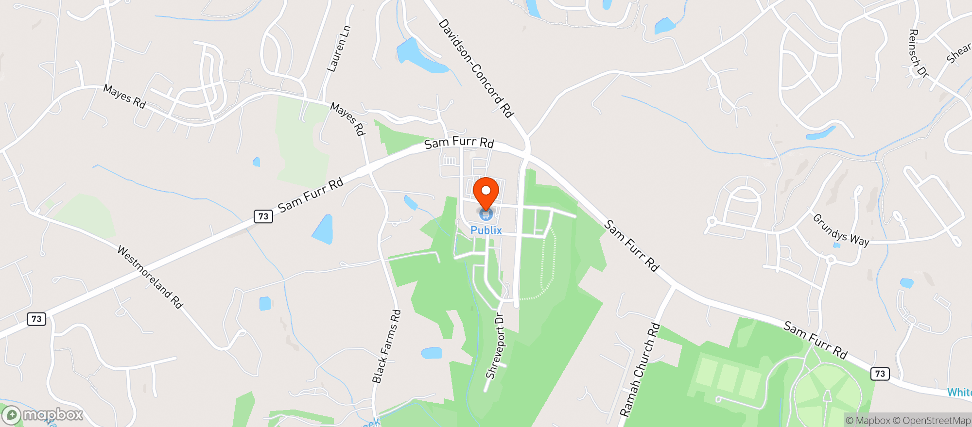 Map showing Publix
