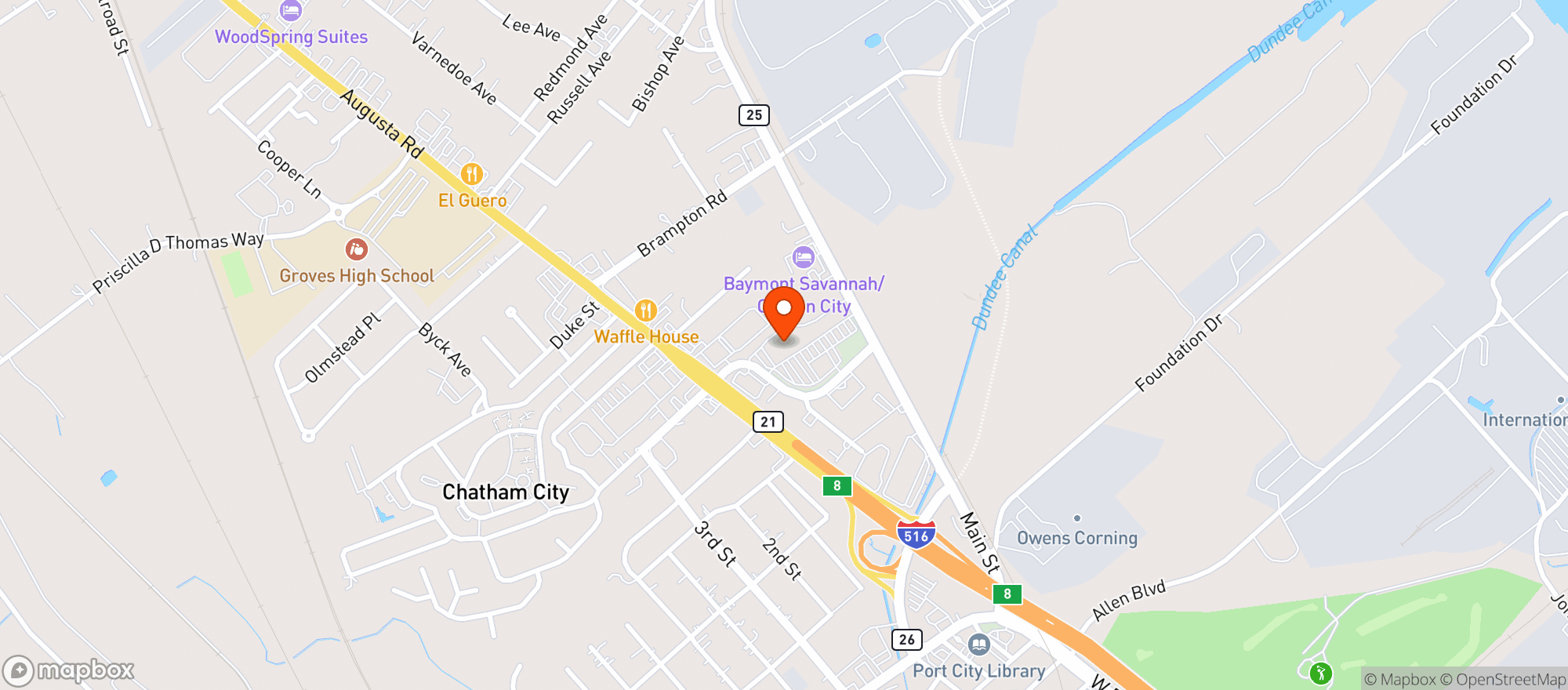 Map showing Food Lion #0811 (sav)