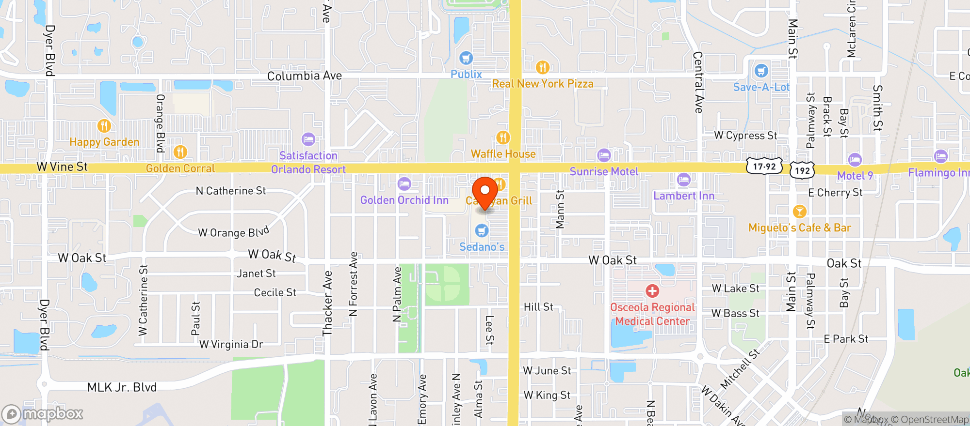 Map showing Chamberlins Natural Foods - Kissimmee - 00100014162