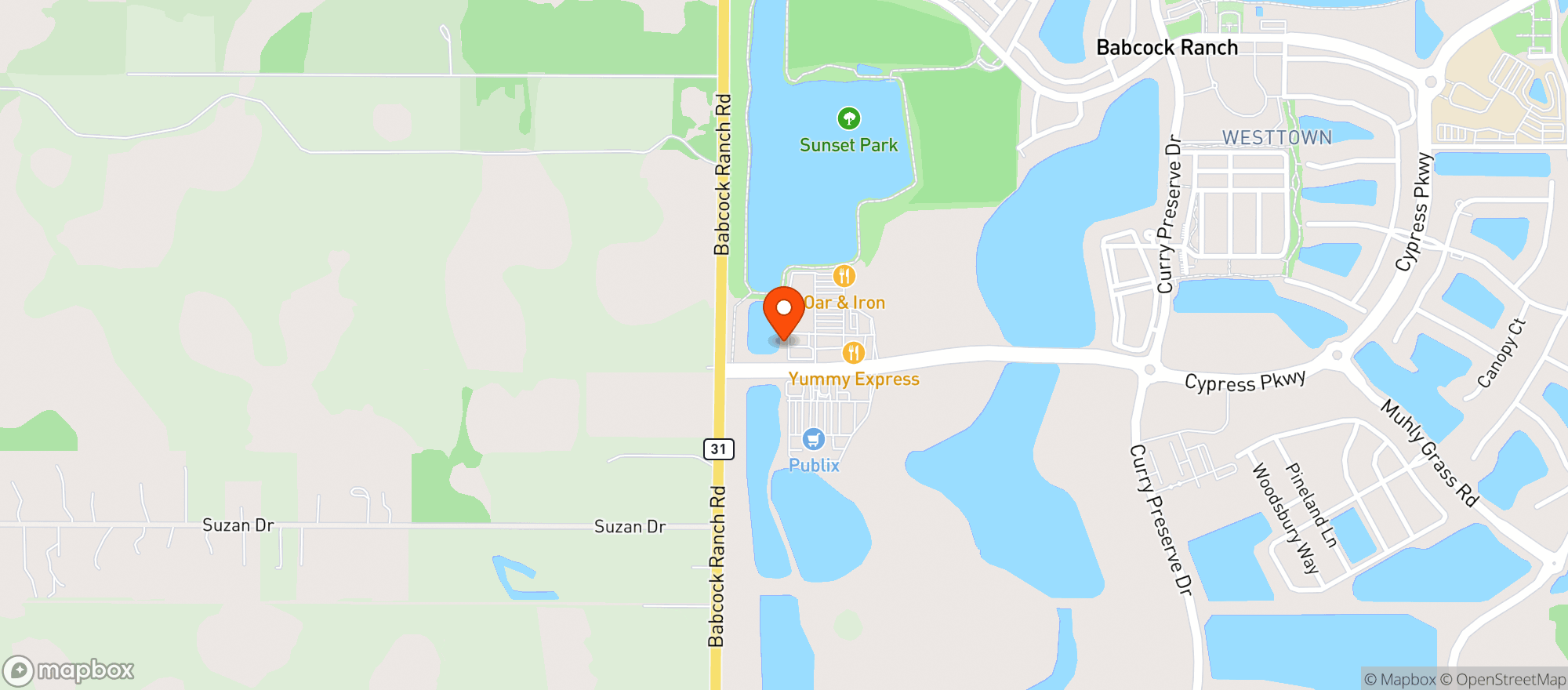 Map showing Publix