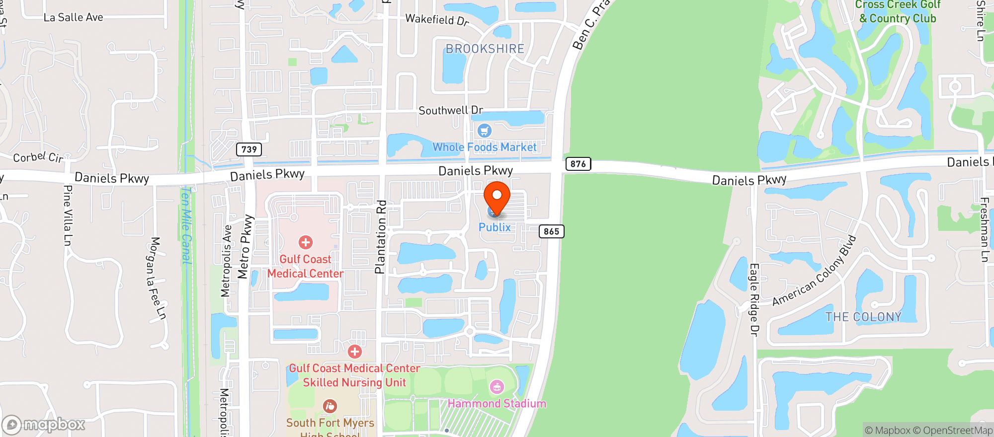 Map showing Publix