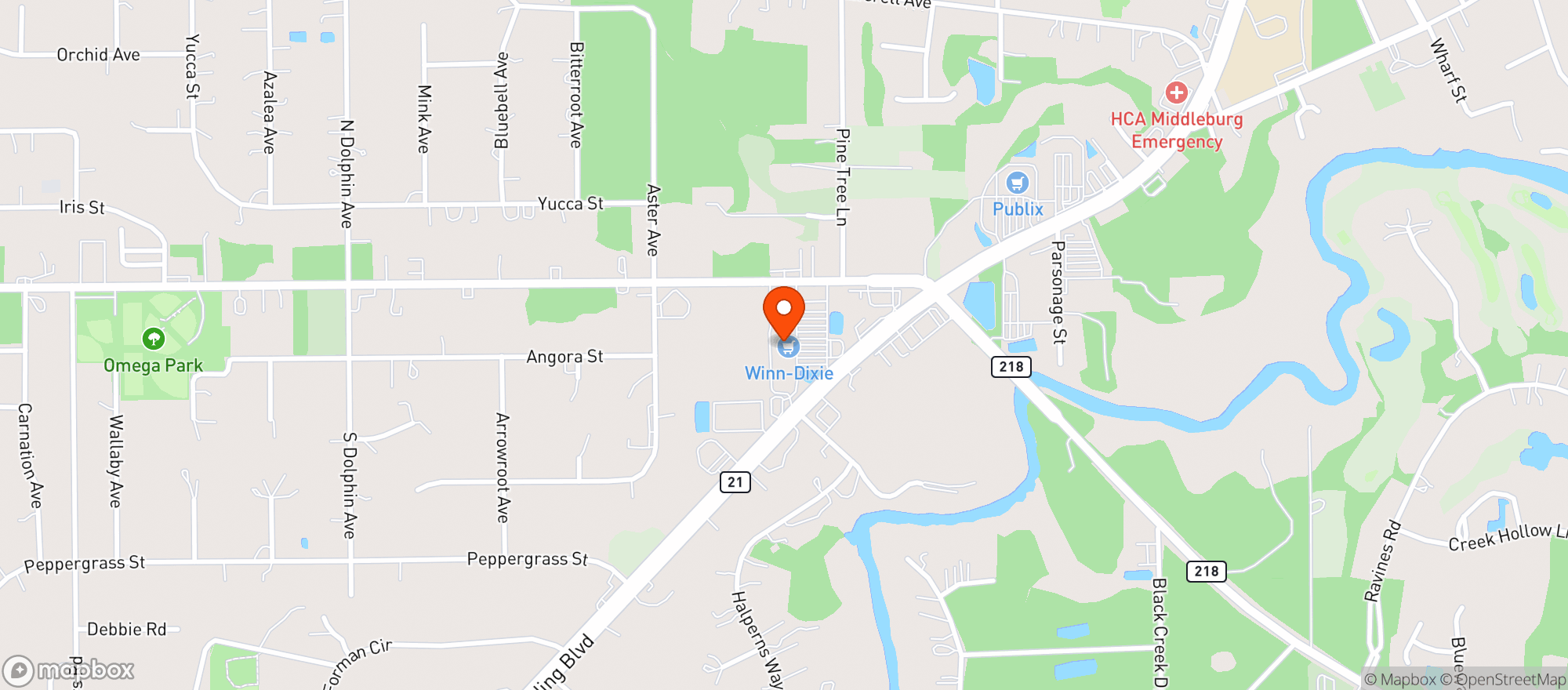 Map showing Winn Dixie - 0093