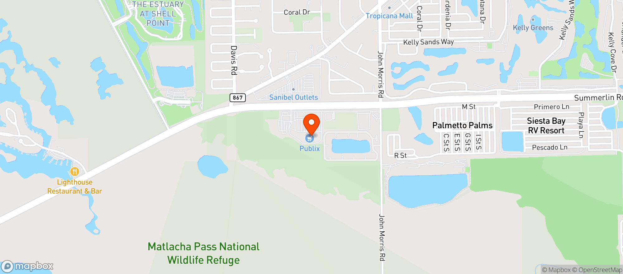 Map showing Publix