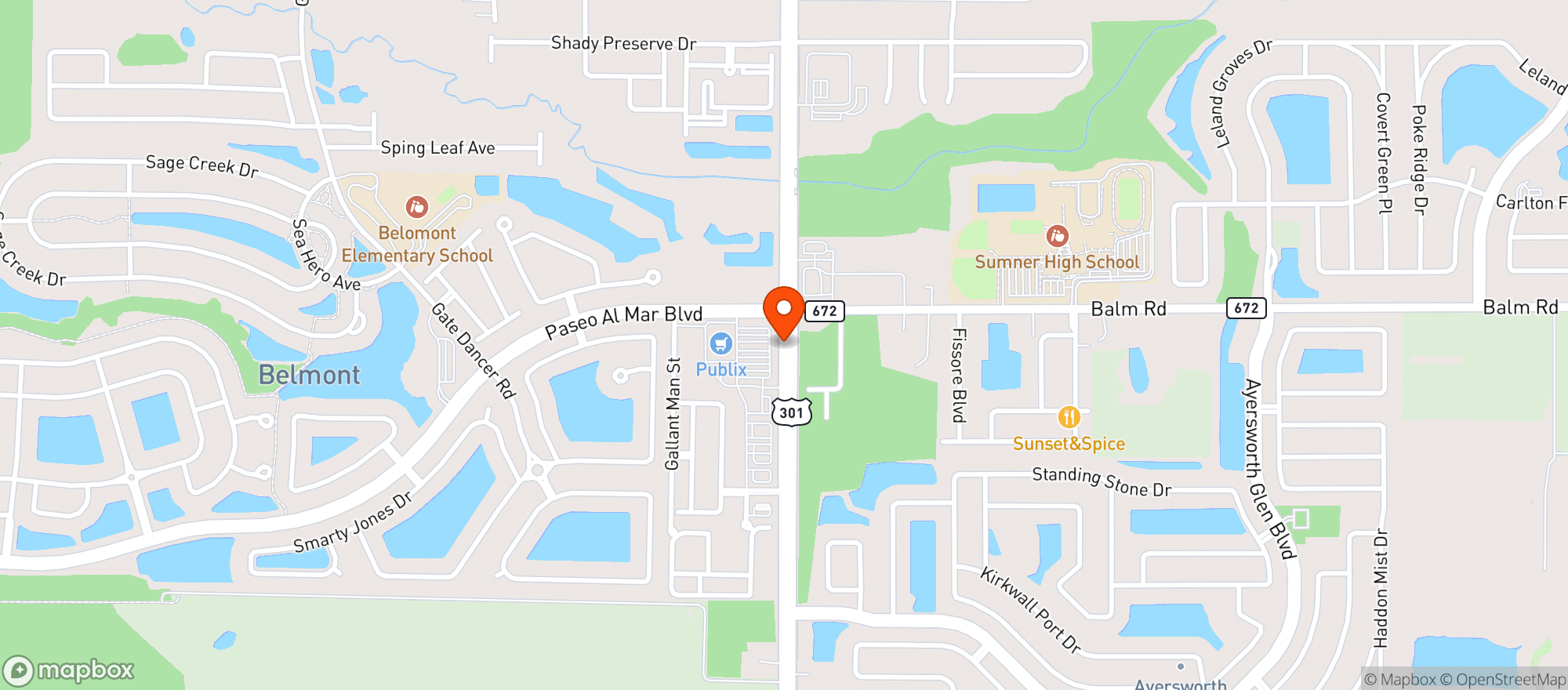 Map showing Publix Super Market