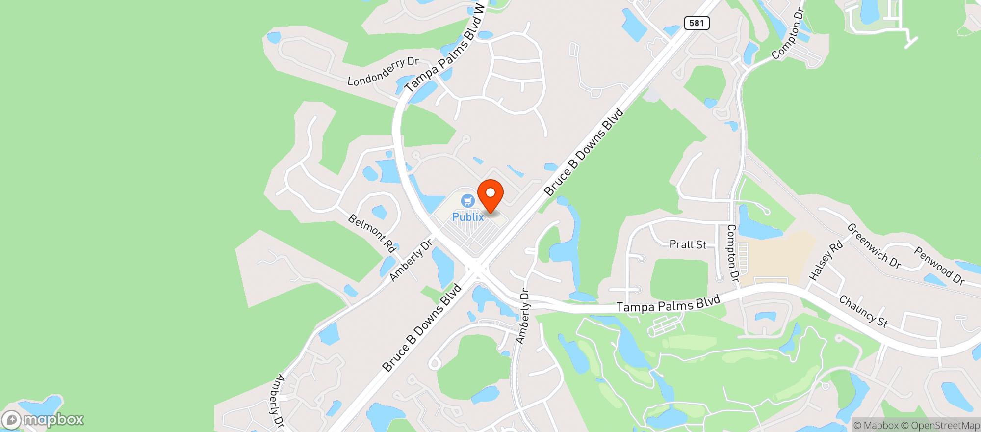 Map showing (c)vallarta S Tampa Palm