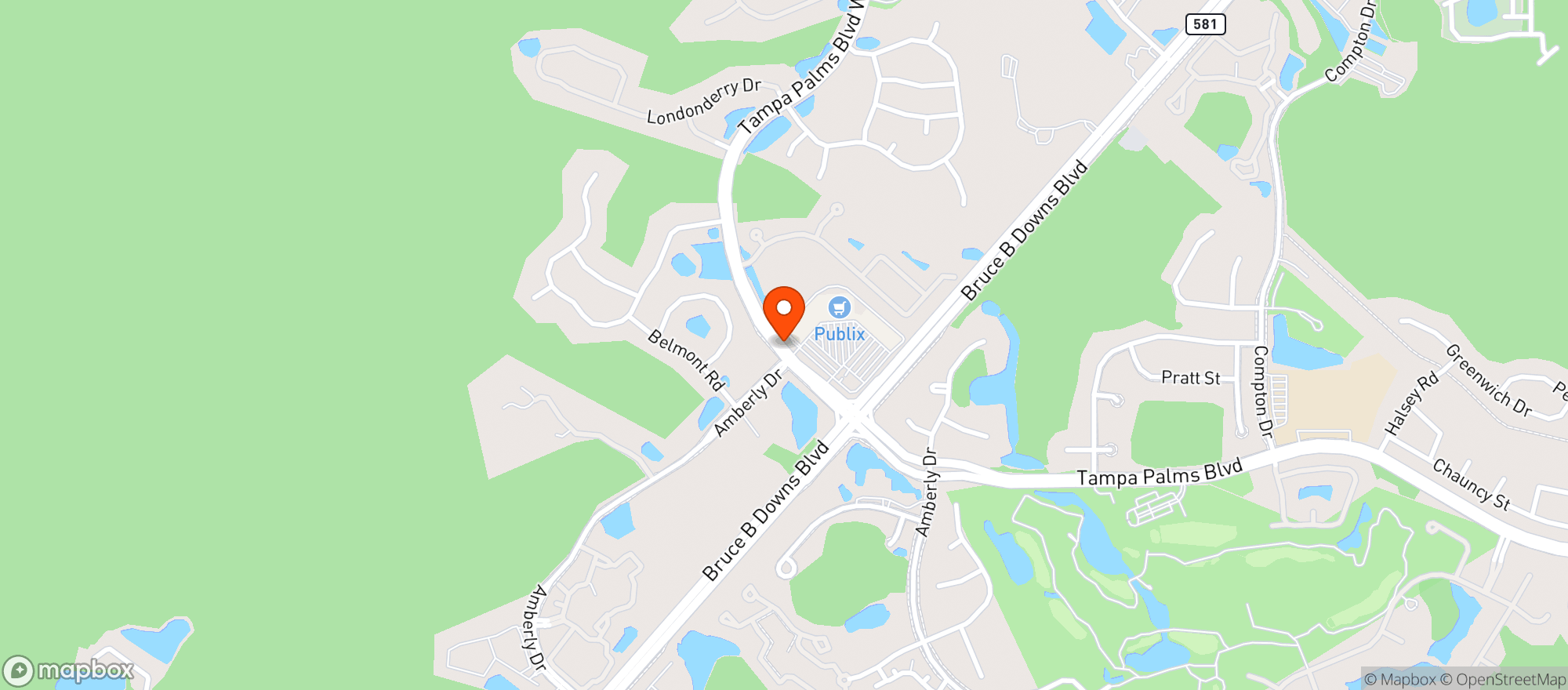 Map showing Publix Super Market
