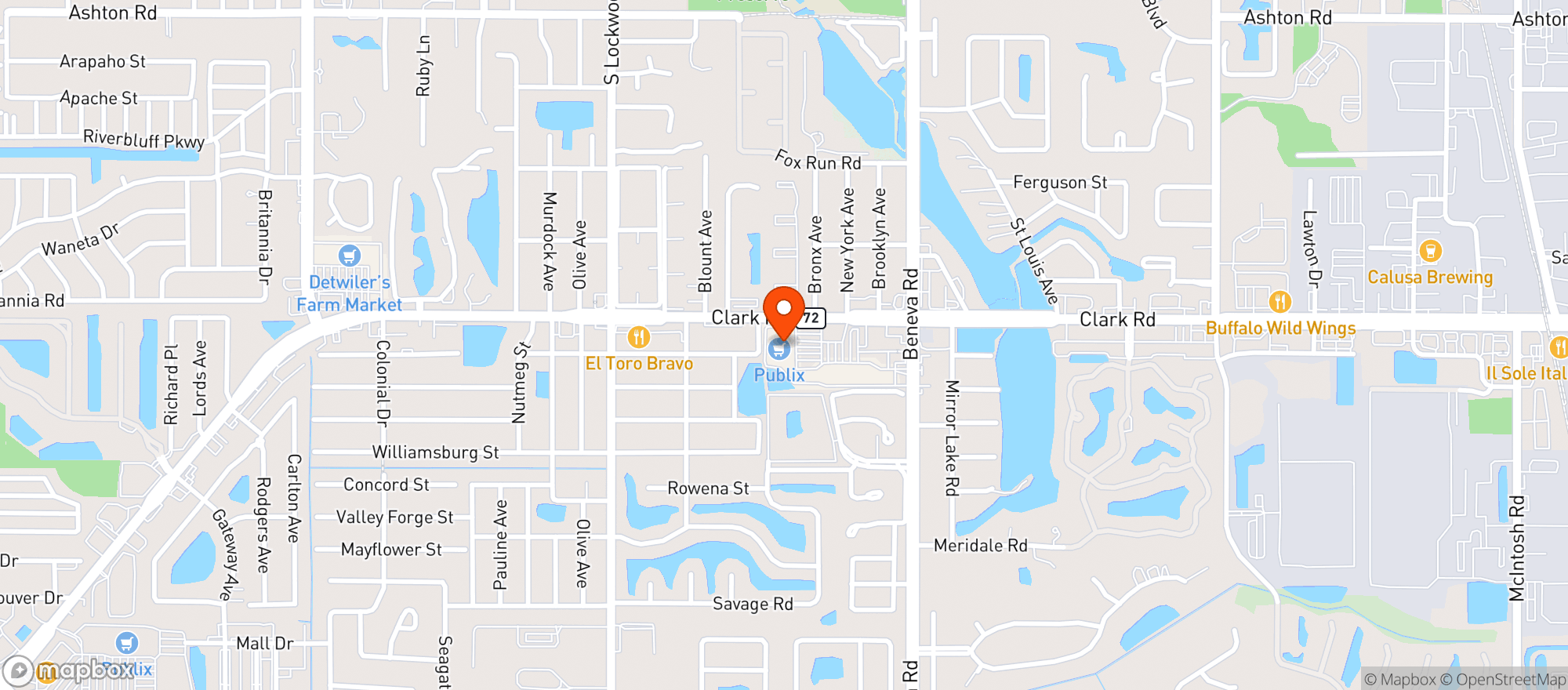 Map showing Publix