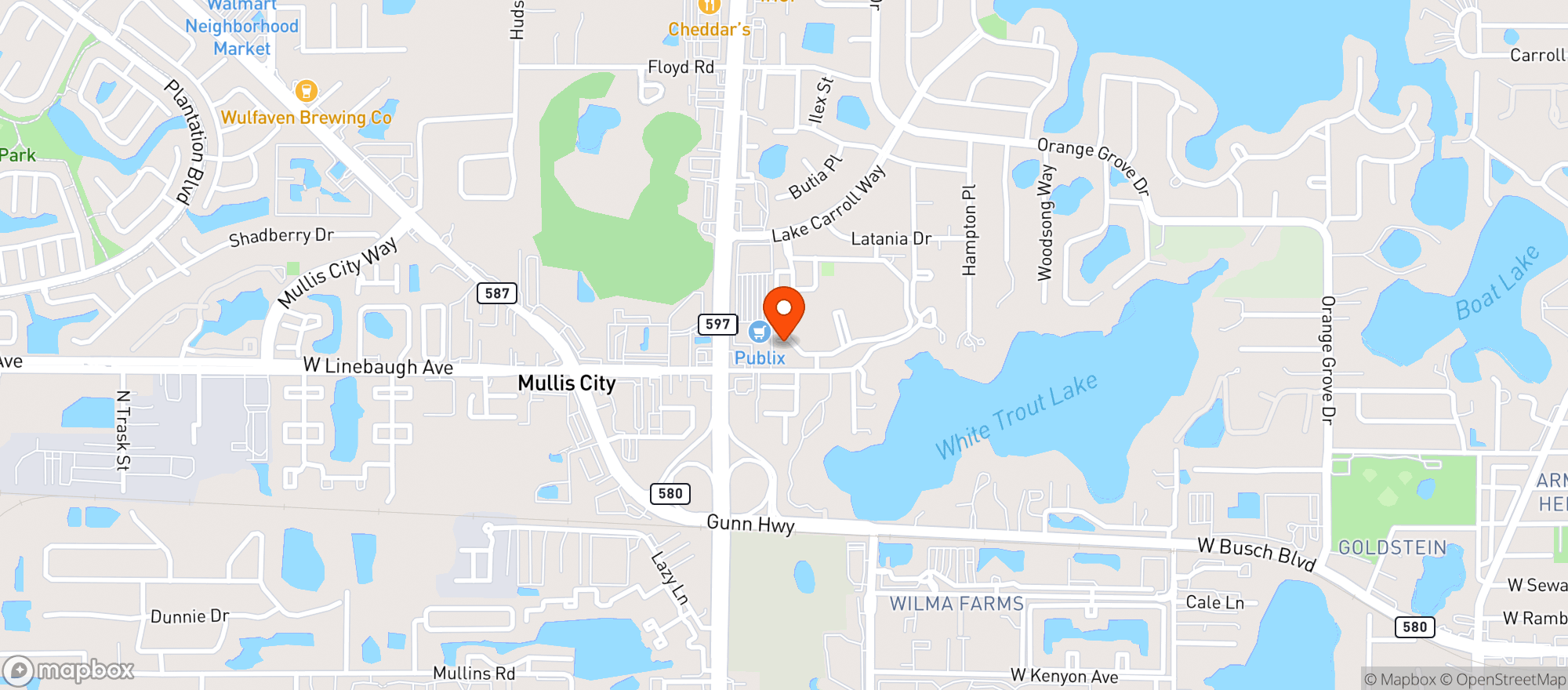 Map showing Publix