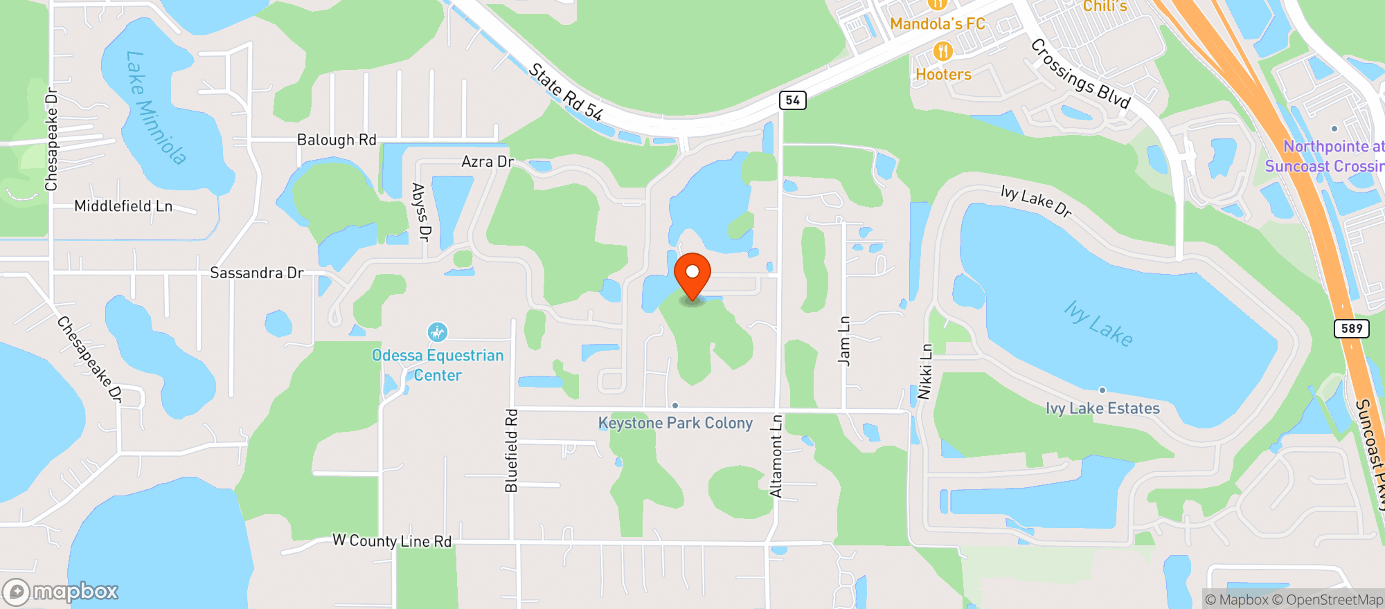 Map showing Publix Greenwise Market - Odessa