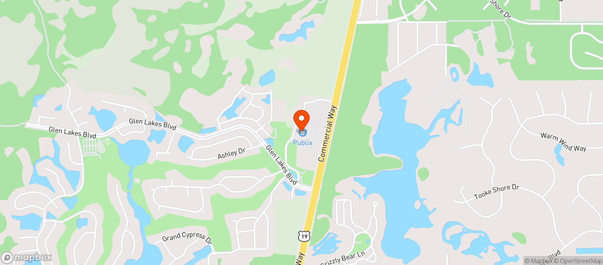 Map showing Publix