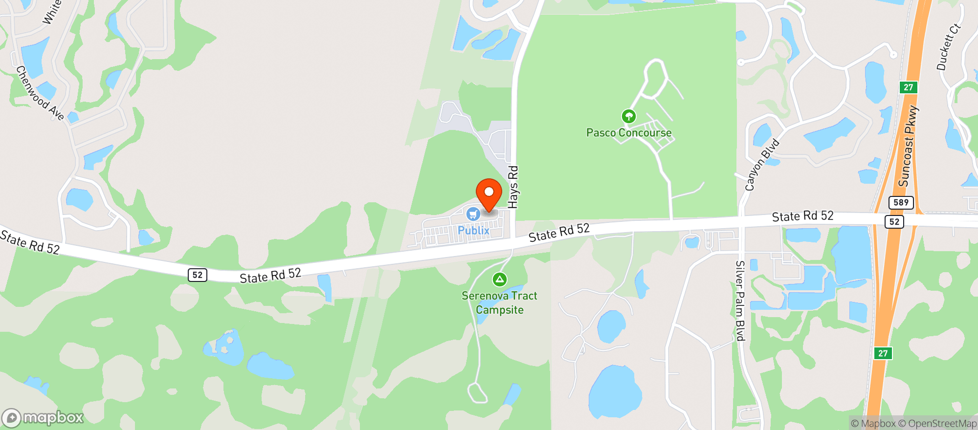 Map showing Publix