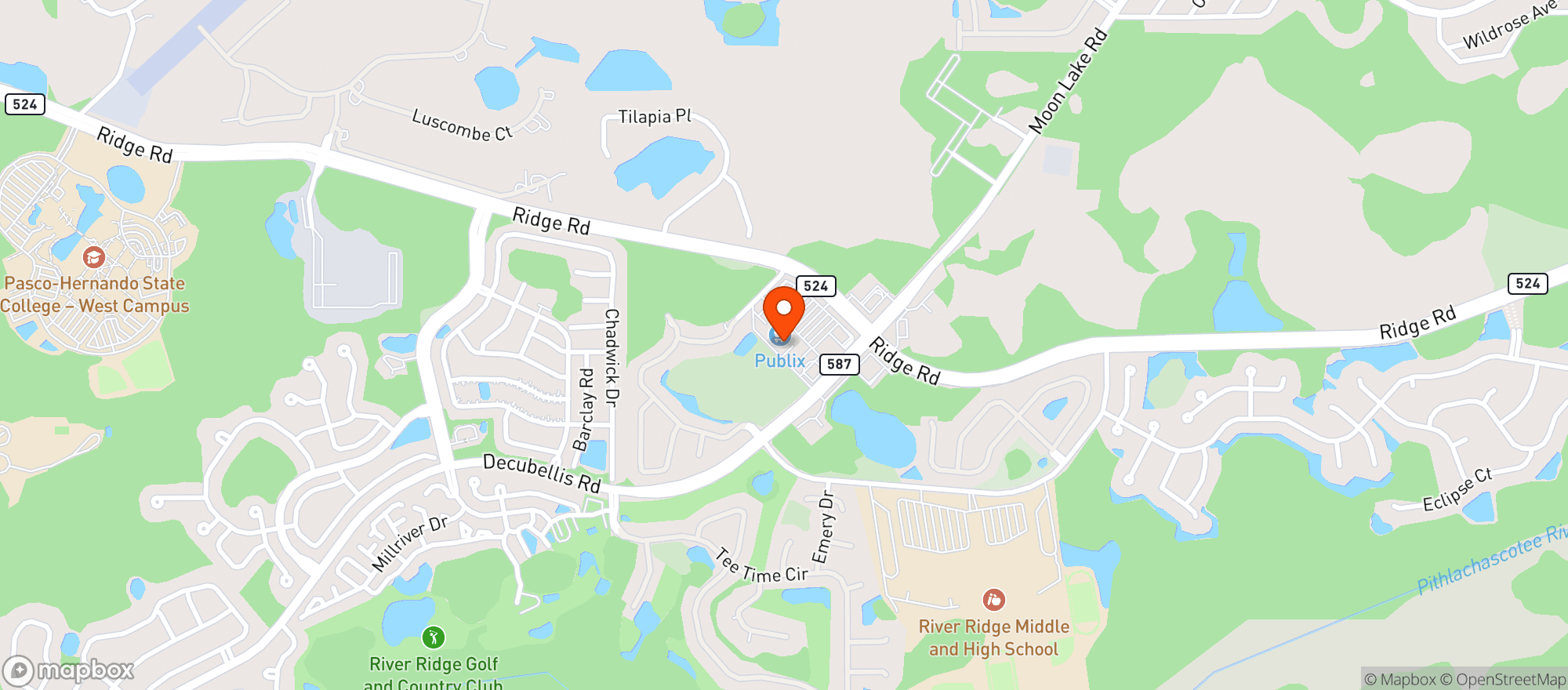 Map showing Publix