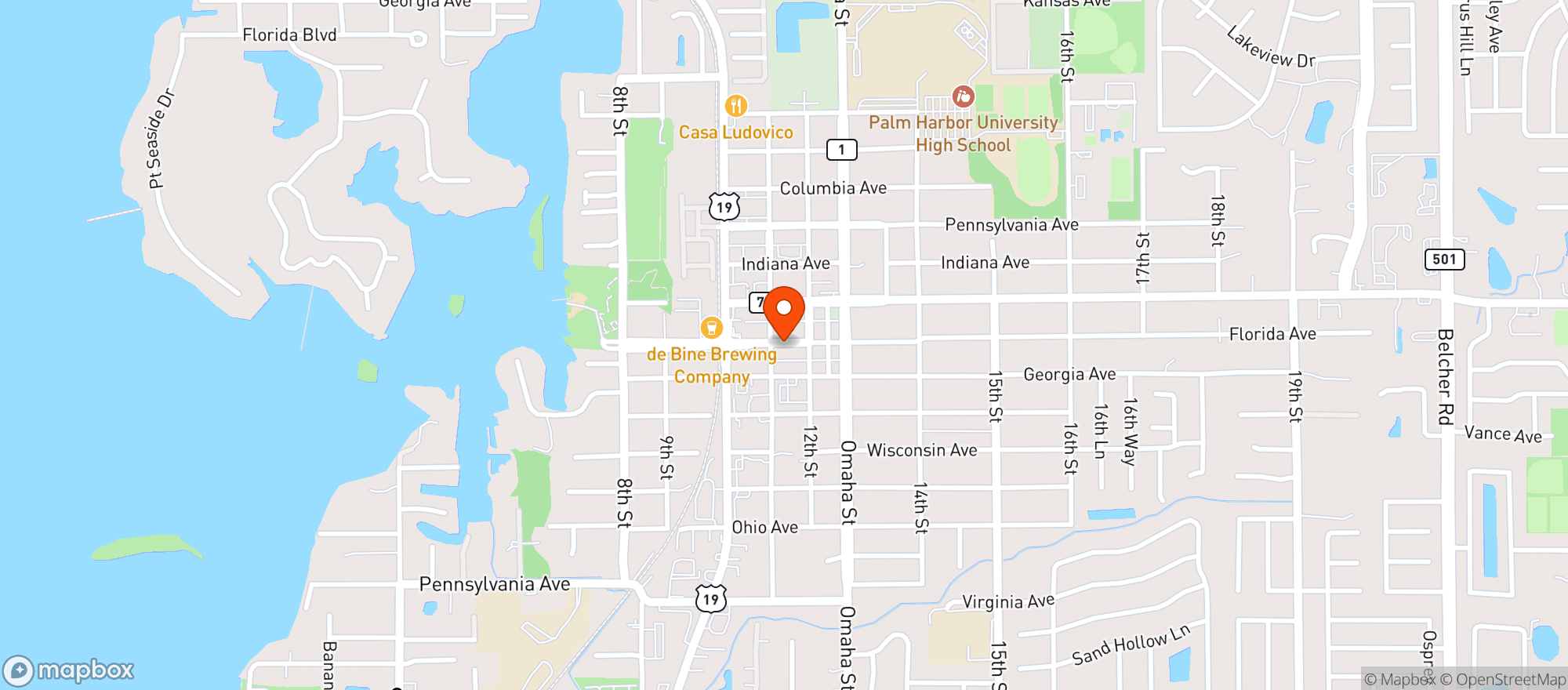 Map showing Driftwood Palm Harbor